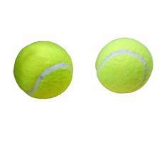 Pelota de tenis 